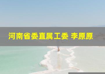 河南省委直属工委 李原原